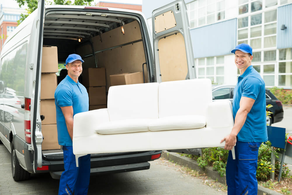 Stress-free Moving Service Team